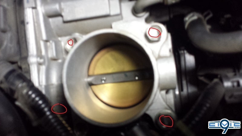2qn8d50.sized.jpg
