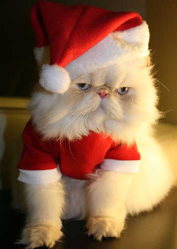 tumblr_kw0pl532nk1qav27ro1_400.jpg