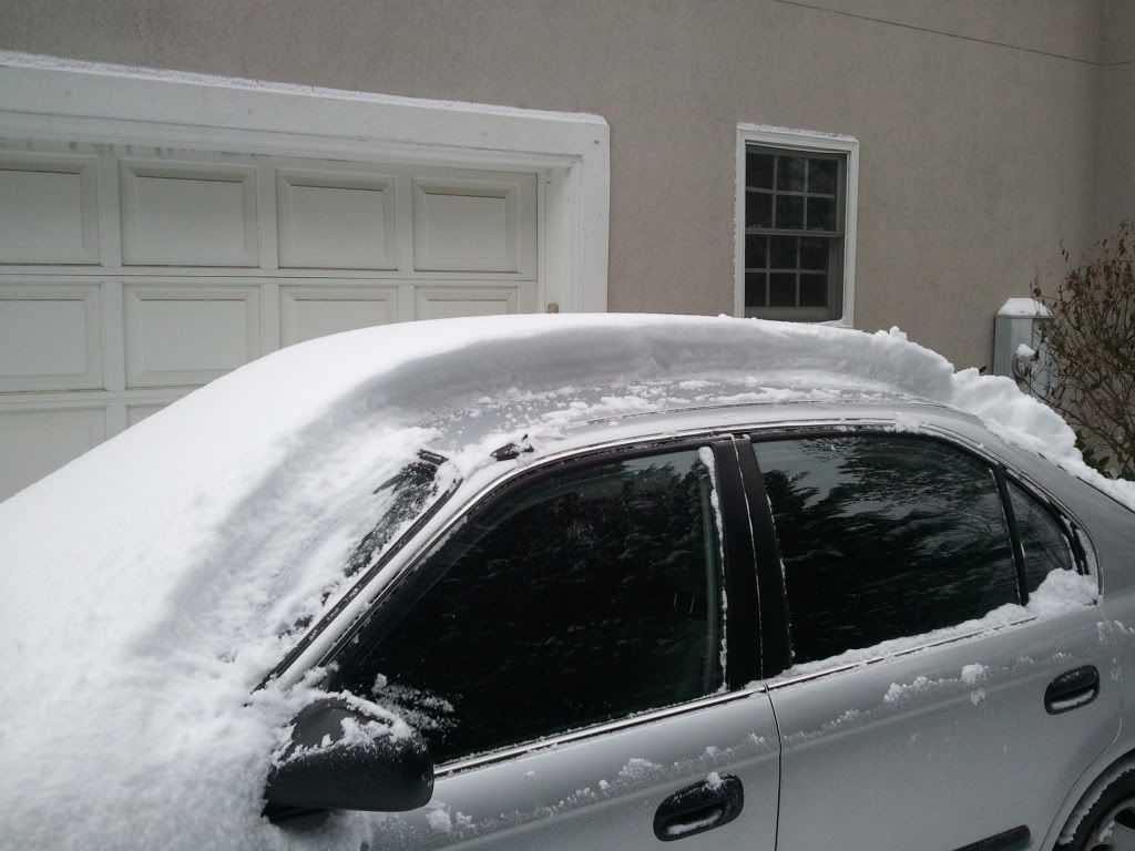 2011-01-10151258.jpg
