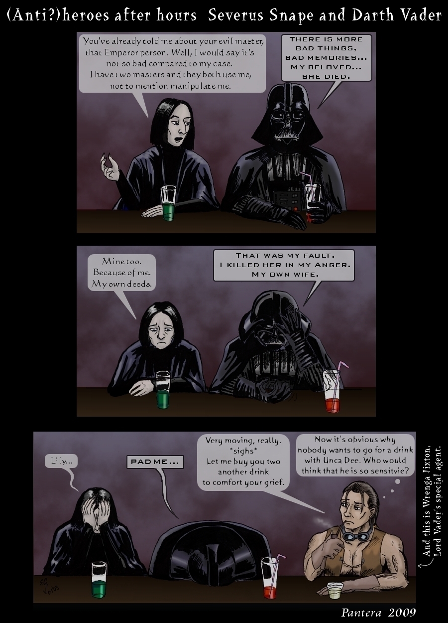 Snape-has-a-friend-in-Vader-voldemort-vs-darth-vader-19096969-900-1250.jpg