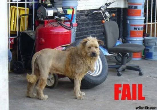 The_Lion_Dog.jpg