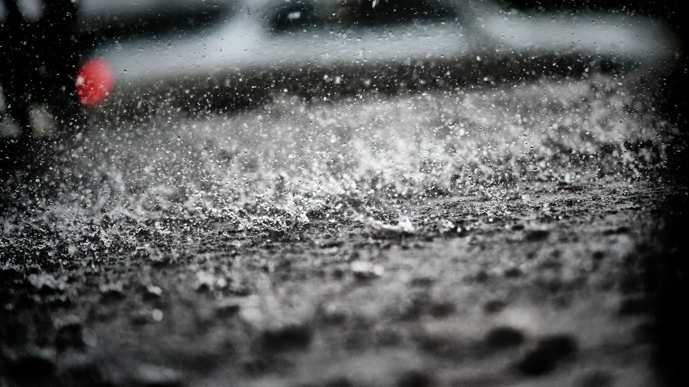 wallpaper-1745111.jpg