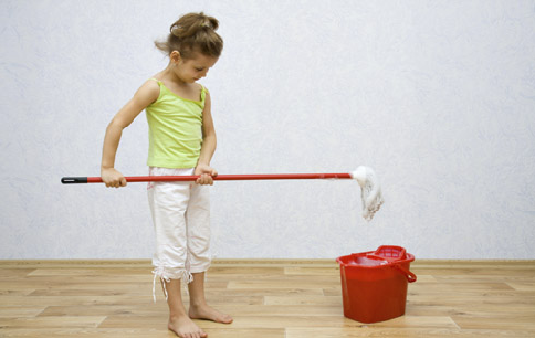 Steam_Mop_2395.jpg
