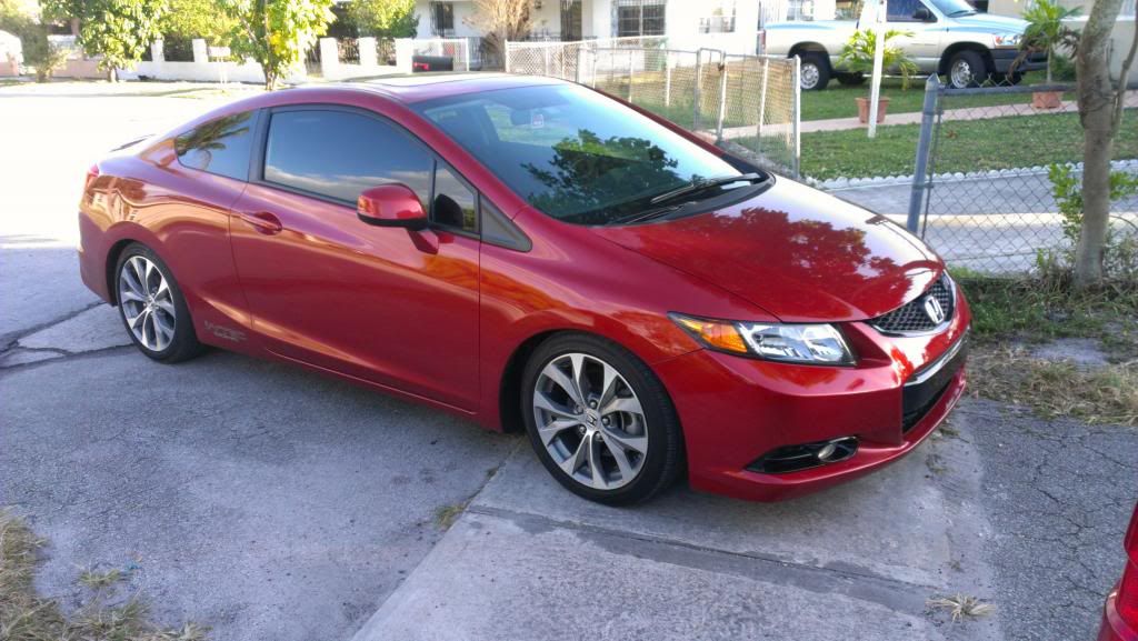 IMAG0731.jpg