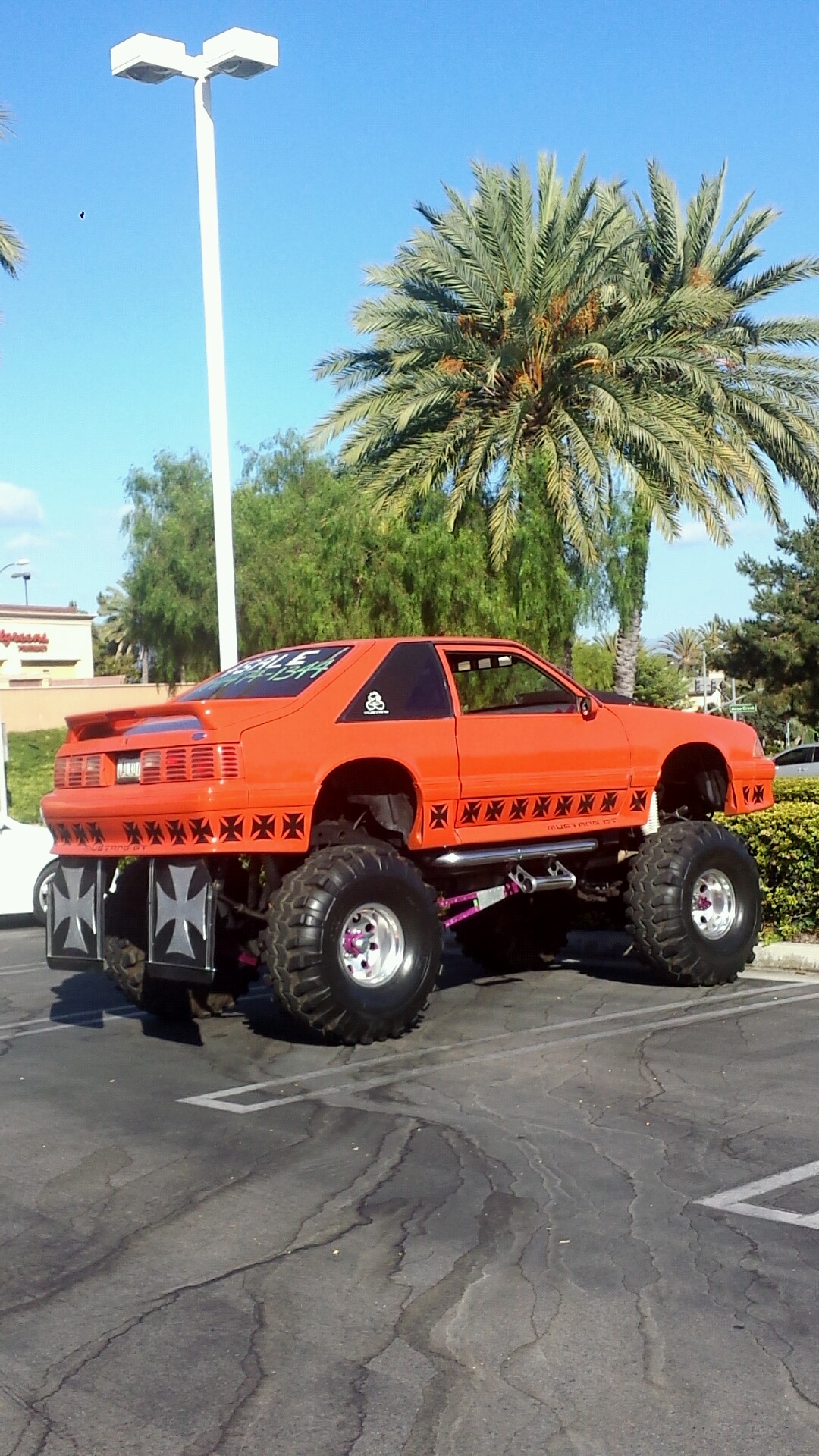 JDXx8VW.jpg