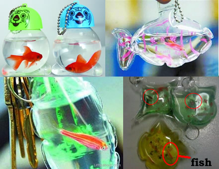 Seriously China? Why???? (Live animals in keychains) | 9th Generation Honda  Civic Forum