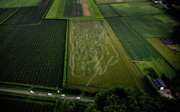 dutch_farmer_on_cocaine_goes_on_high_speed_tracto_28315_1302277186_3.jpg