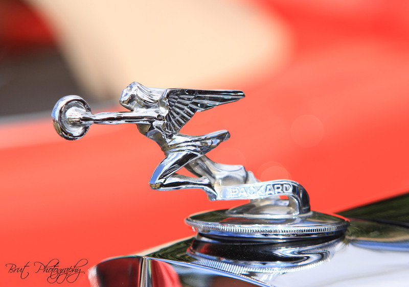 471-L.jpg