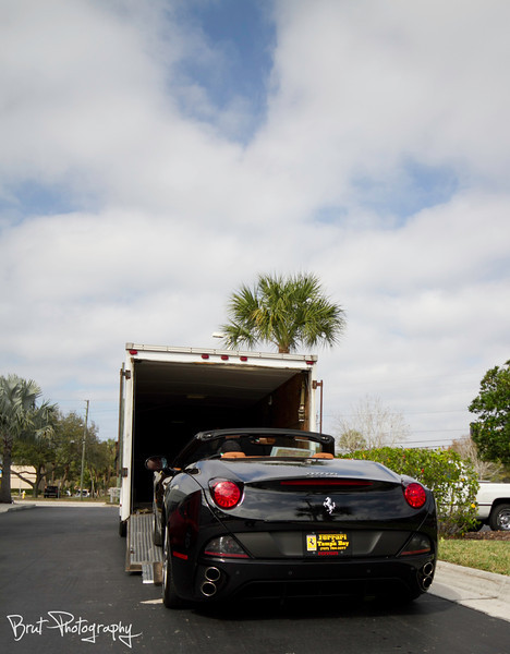 9192-L.jpg