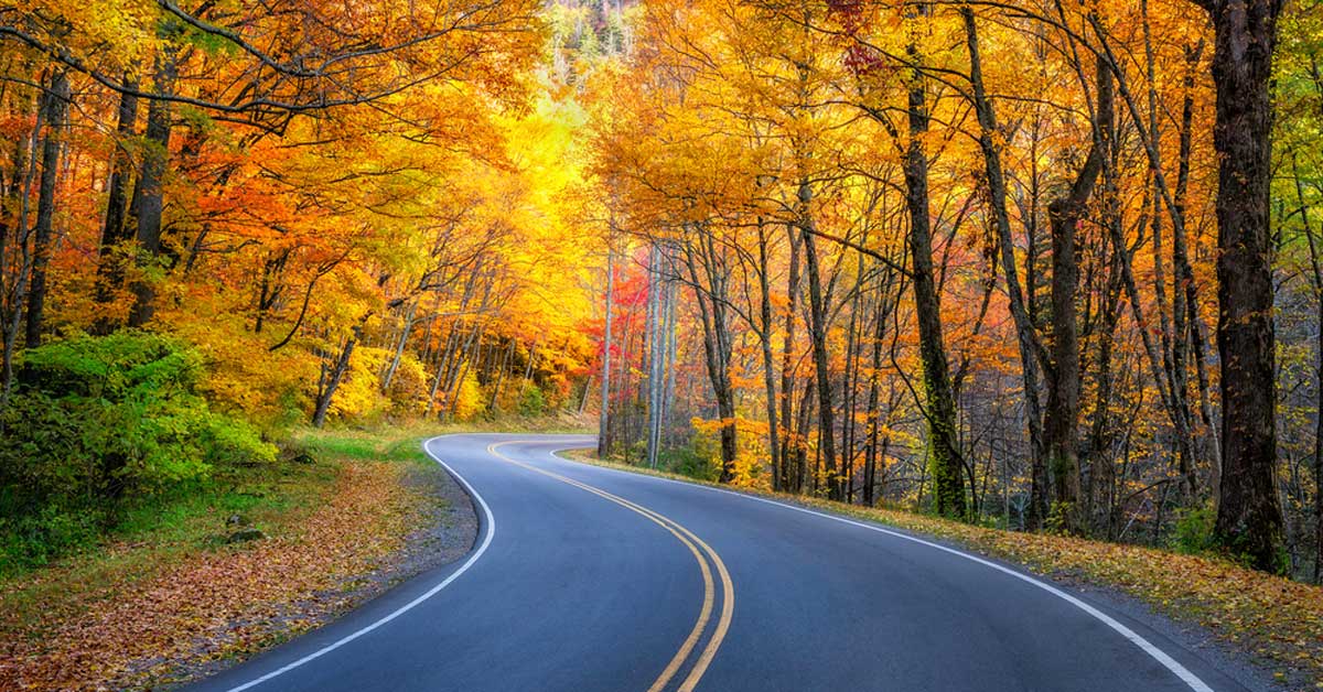 fall-colors-road-fb.jpg