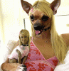 1258118089_paris_hilton_dog.gif