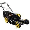 Briggs_Stratton_Brute_22_3_n_1.jpg