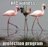 20090117145011_funny-pictures-kfc-chicken-stilts-flamingos.jpg