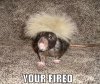 funny-pictures-donald-trump-rat.jpg