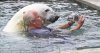 article-2009541-0CC9CA4D00000578-851_634x337.jpg