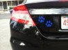 Civic Paws Close.JPG Civic Paws Close.JPG