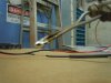 DSCN2010.JPG