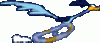x_roadrun1g.gif