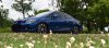 DSC_0098 new.jpg
