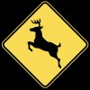 deer-crossing.jpg