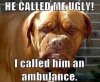 called-me-ugly-i-called-ambulance (1).jpg