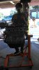 IMAG0264.jpg
