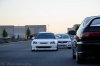 DSC_3687-2.jpg