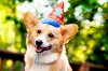 deweybday1.jpg