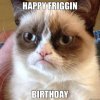 bdaygrumpycat.jpg