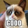 grumpy-cat-good-1.jpg