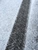 image1.JPG