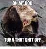 funny-cute-otter-holding-ear-my-god-turn-****-off-pics.jpg