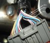 my HFL harness 2.jpg