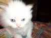 DSC00158.JPG