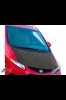 OEM Carbon Fiber Hood.jpg OEM Carbon Fiber Hood.jpg