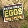 FarmFreshEggs